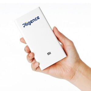 Corporate Power Bank
