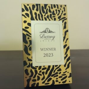 Team Excellence Award